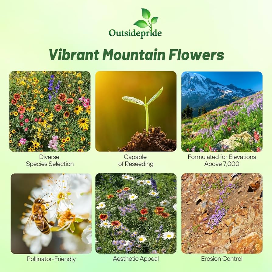 w.o.d.　F.L.O.W.E.R.S. Bulk Shorty Low-Grow Wildflower Seed Mix | Bulk Wildflowers